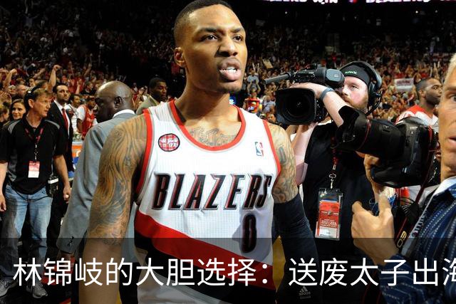 林锦岐的大胆选择：送废太子出海的阴谋与反转