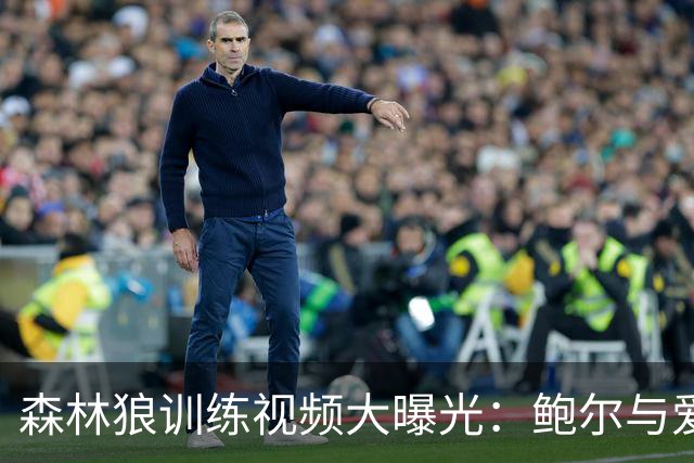 森林狼训练视频大曝光：鲍尔与爱德华兹的精彩瞬间！